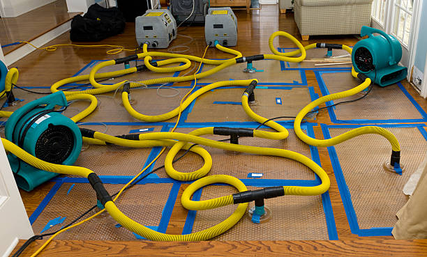 Professional Basement Flood Cleanup technician working in Resaca, GA
